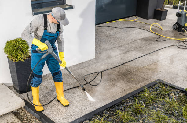 Best House Pressure Washing  in Hampton, IA